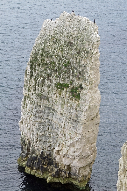 07 07 16_8616_edited-1.JPG - JURASSIC COAST - OLD HARRY ROCKS - ISLE OF PURBECK, DORSET - 7.7.16